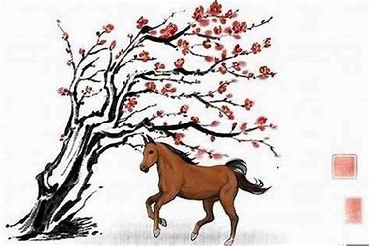 看面相算命运是真的吗