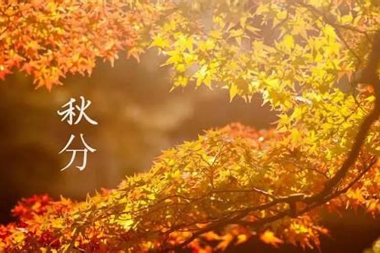 秋分是几月几号2024年 秋分三候