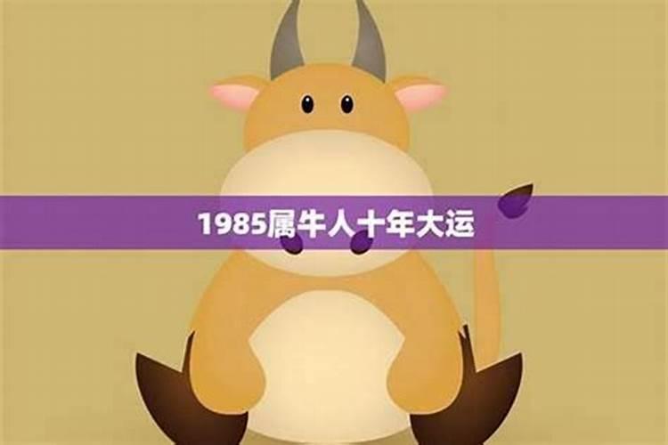 2025年属牛97年生的运势