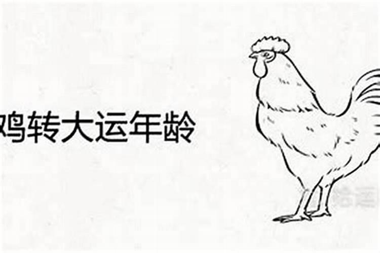 81年鸡五行属什么,五行缺什么