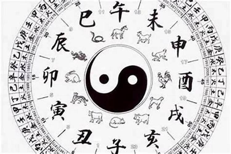做梦梦到蛇是生男孩的征兆吗 怀男孩的征兆有哪些