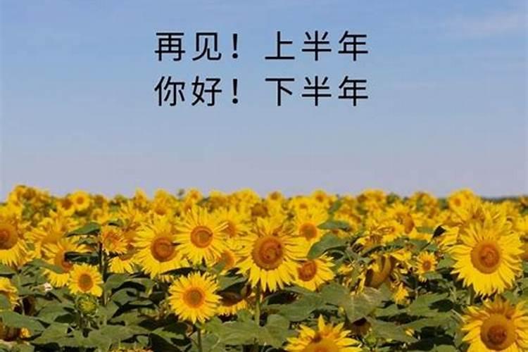立春、惊蛰、清明、白露小暑、寒露、处暑、雨水、春分、谷雨、芒种...