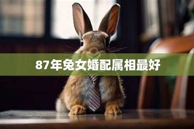 鸡和兔婚姻相配吗,69年的鸡男和75的兔女合婚吗