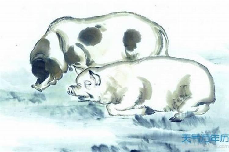男孩冬至出生为什么好 冬至生的男宝宝有福气