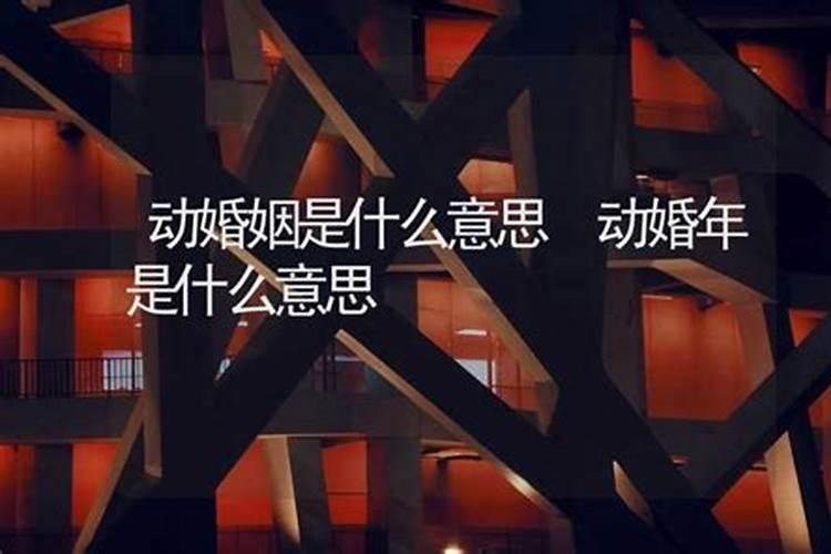 算命说动婚姻是什么意思,动婚是结婚还是处对象