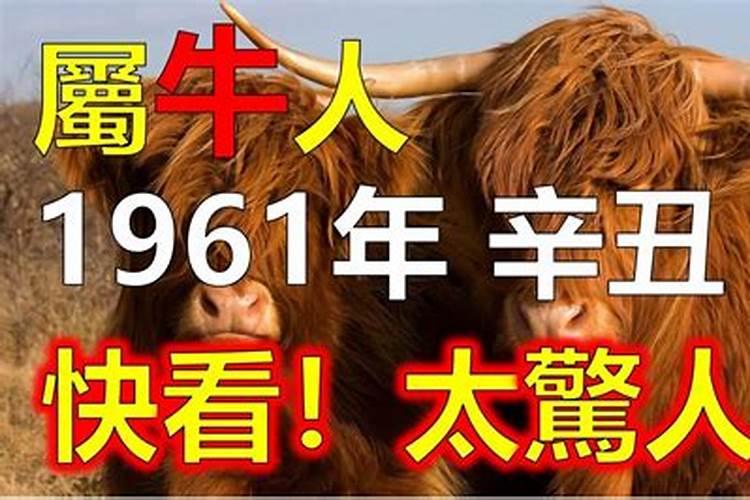 2026年犯太岁列表,2025什么属相犯太岁表