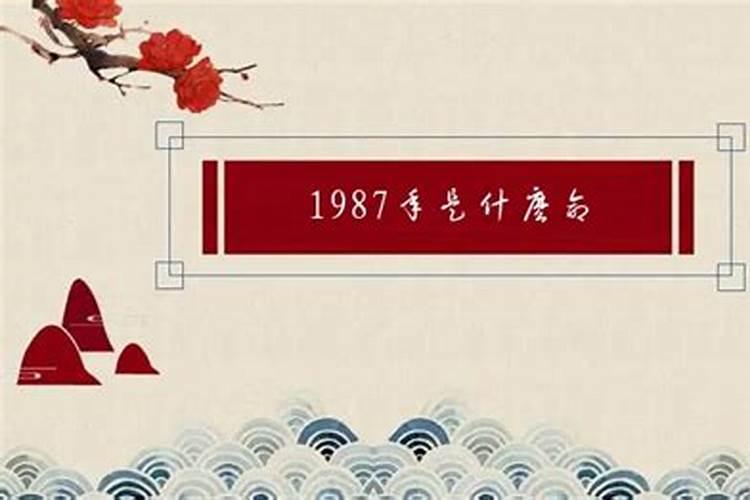 91年的羊2025年运势怎么样