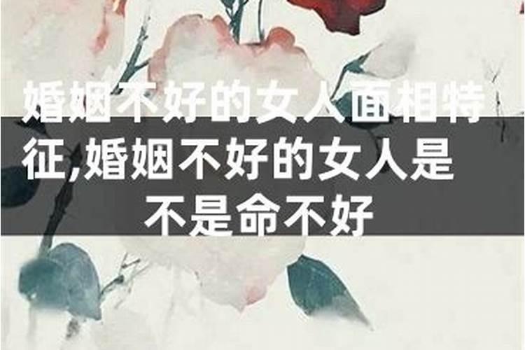 双子座星座屋今日财运,双子座明日运势星座屋