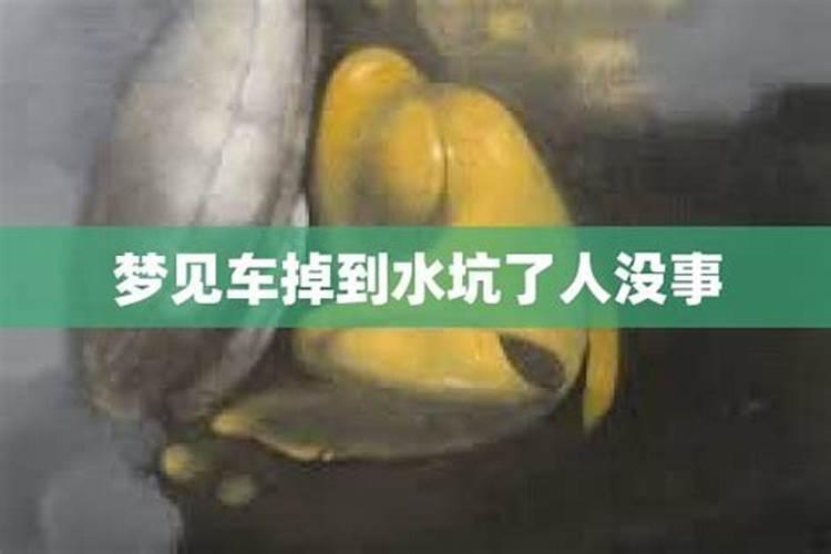 梦见骑车带老婆遇到路面很大坑的预兆