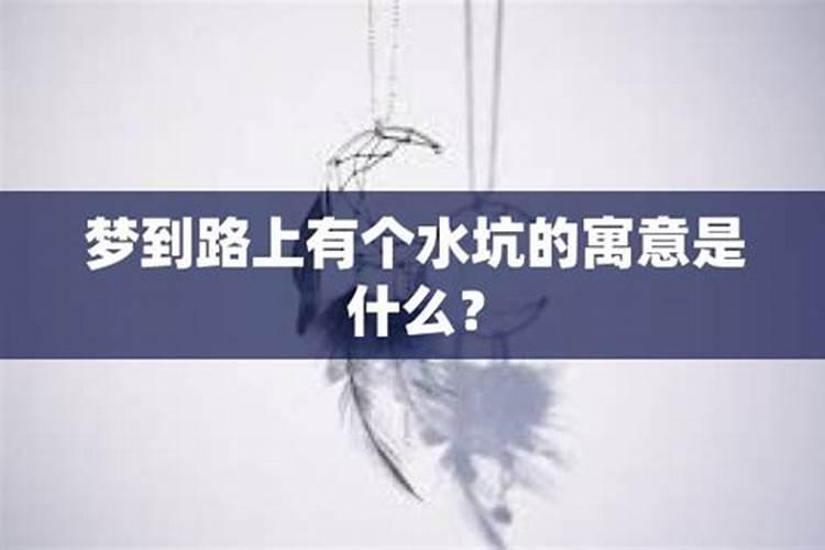 梦见路上有水有坑