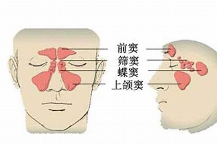 我国经历过几次土改运动