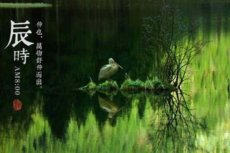 婴灵,不知道大家相信吗