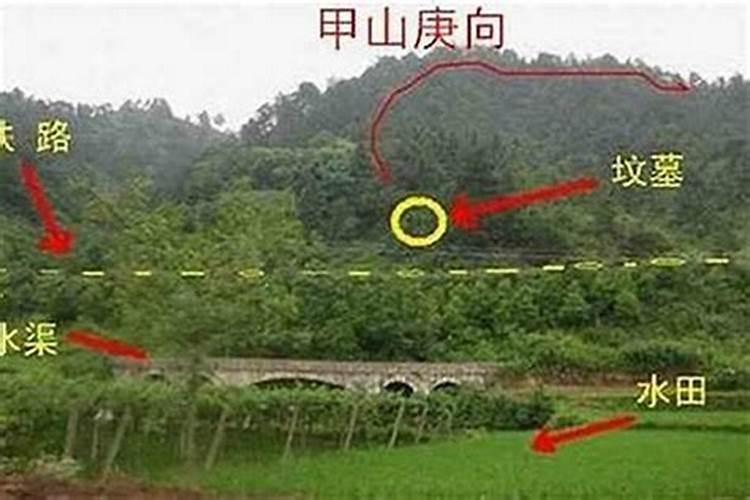 家族后代婚姻不顺、老人多不长寿与祖坟地有关吗？