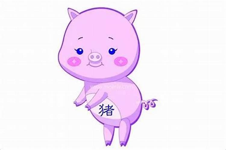 女属猪不能配的属相