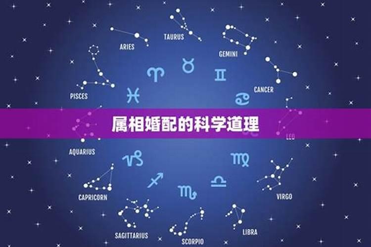 属相婚配可信有依据有用吗 属相是迷信还是科学