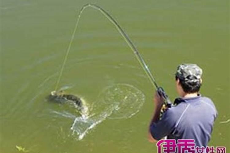 梦见表妹结婚寓意