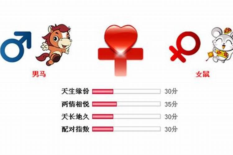 男马女鼠婚姻是否相配