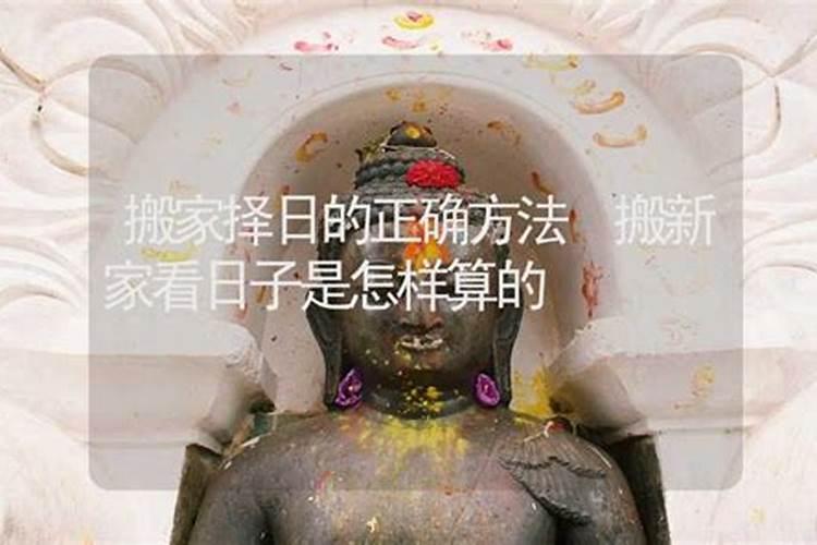 92年与69年母子俩属相合吗？