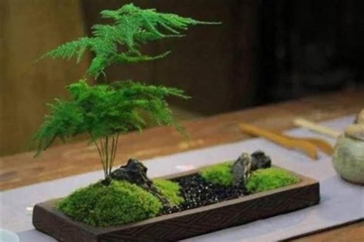 腊八是哪八？