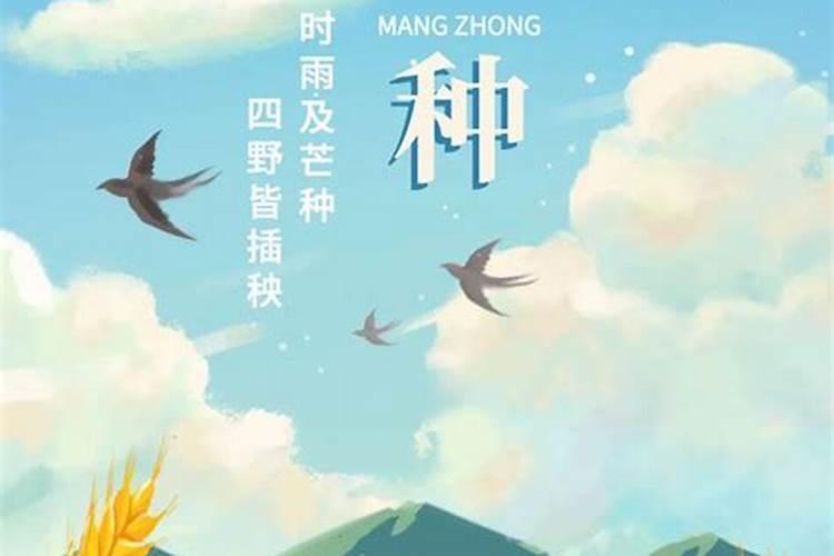 芒种时节出生的人好不好 芒种节气出生的孩子的特点？