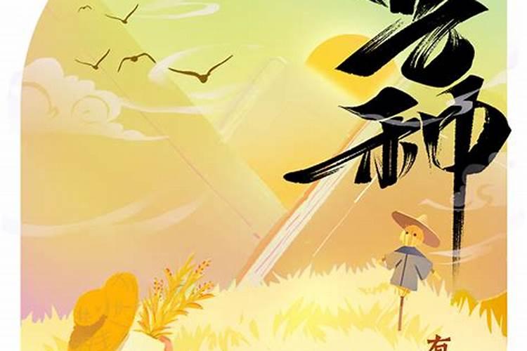 出生在夏至左右有什么寓意 天然生成吉星临命