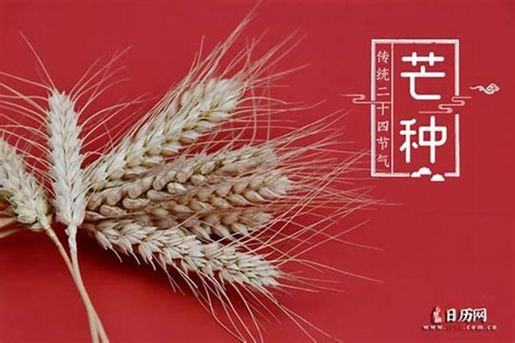 芒种出生的男孩好吗