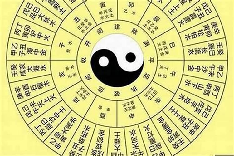 70年属狗女用什么微信头像好