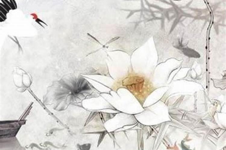 怎么回向给堕胎的儿童？