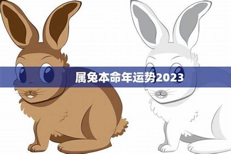 2025属蛇本命年运势怎么样