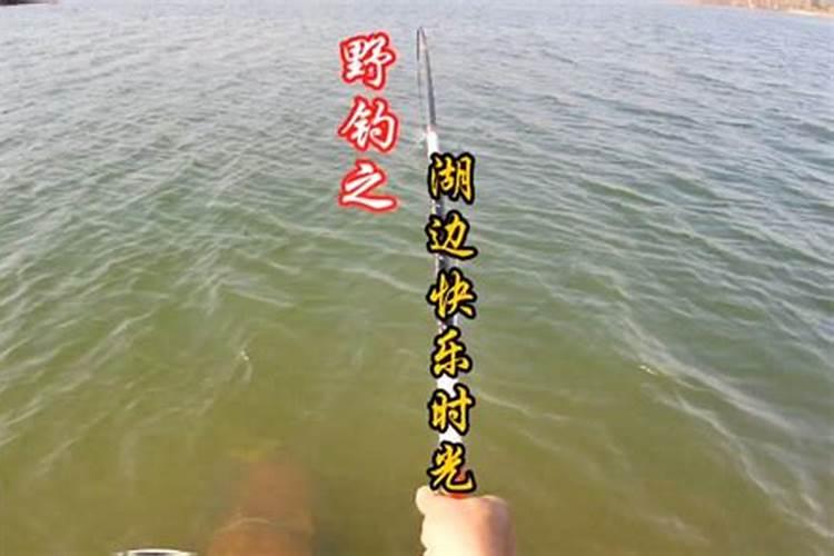 今天穿什么衣服颜色旺财运？