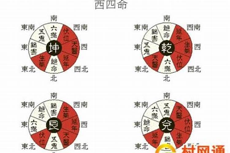 命带七杀 命带七杀是什么意思