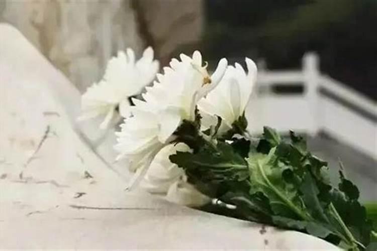 小蛇进家有什么预兆