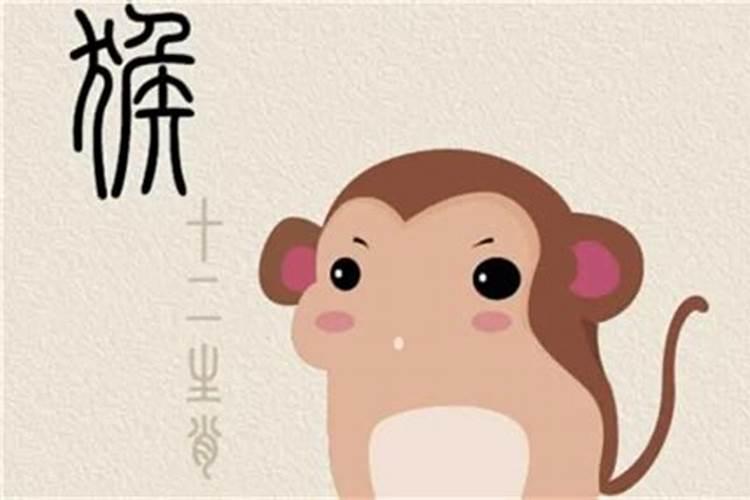 80年属猴人注定的婚姻 80年属猴人一生命运如何