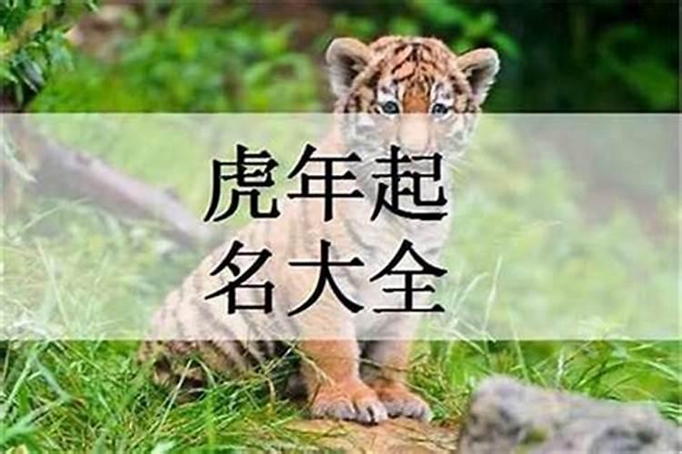 星图工具可以看的到自己的一生吗
