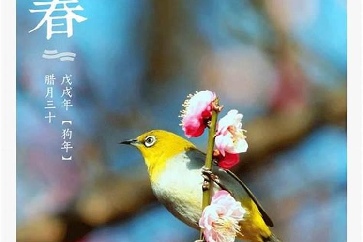 装修进门隔断屏风的作用 进门屏风有什么讲究