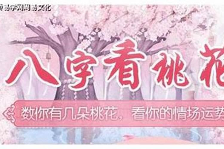 凤凰如何摆放