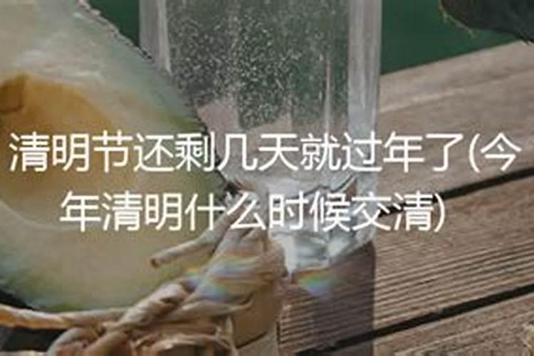 一年除去周六周末和法定节假日还剩下多少天？