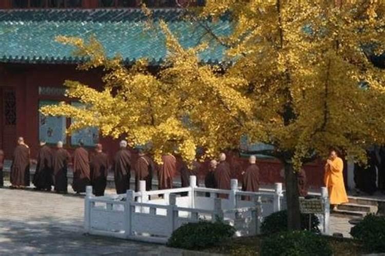 八字排盘怎么解读 排盘后分析教程？