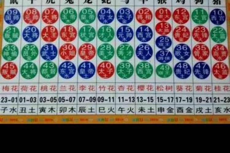 属鸡的生肖号是多少