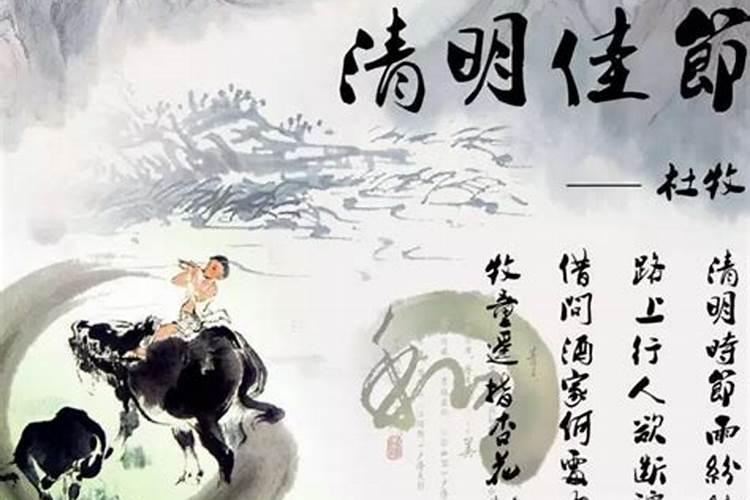 虎年五月出生的孩子最好命 农历5月出生属虎人性格