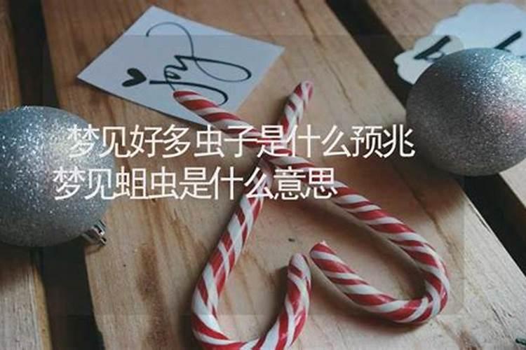 女人梦见自己拉虫子是活的