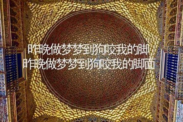 梦见狗咬自己的脚是什么意思啊
