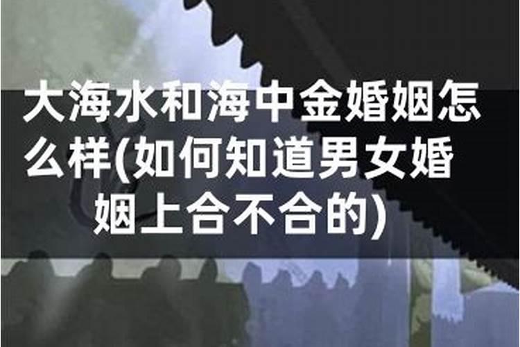 姻缘配对:海中金和大海水相配吗 做夫妻好不好