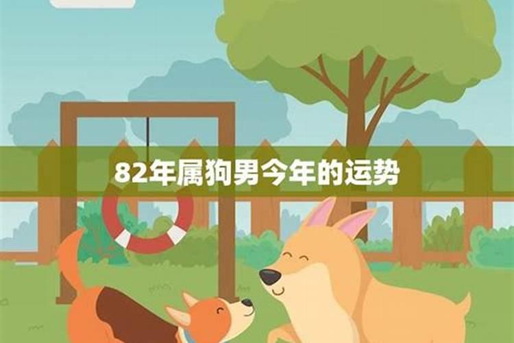 71年属猪女2025年运势