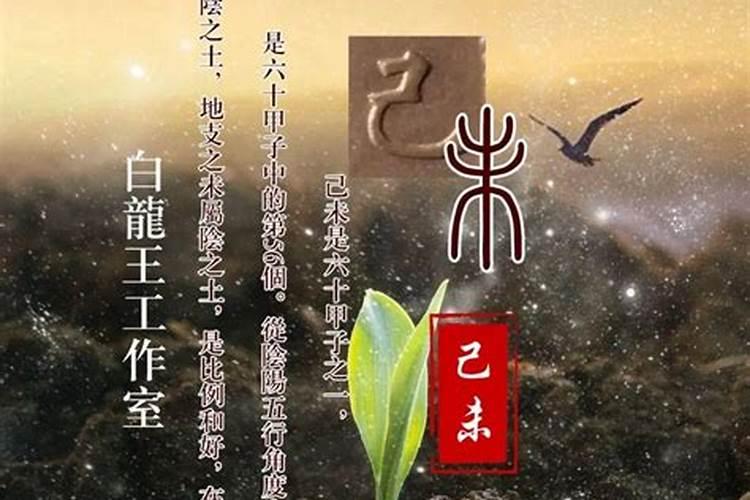 己土日元的人命运如何