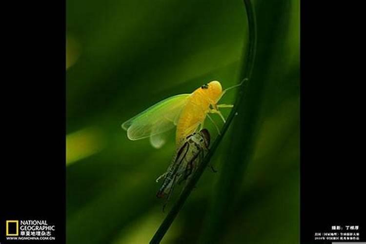 什么风水可以留住财运