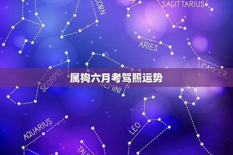 6月属鸡的命运怎么样