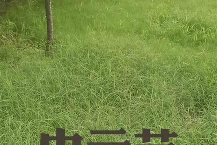 给死人烧纸钱有时间吗