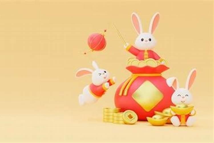 属兔今日运势