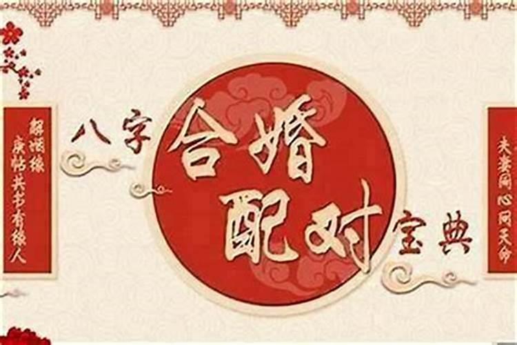 四大风水鱼:锦鱼上榜,它能够辟邪镇宅